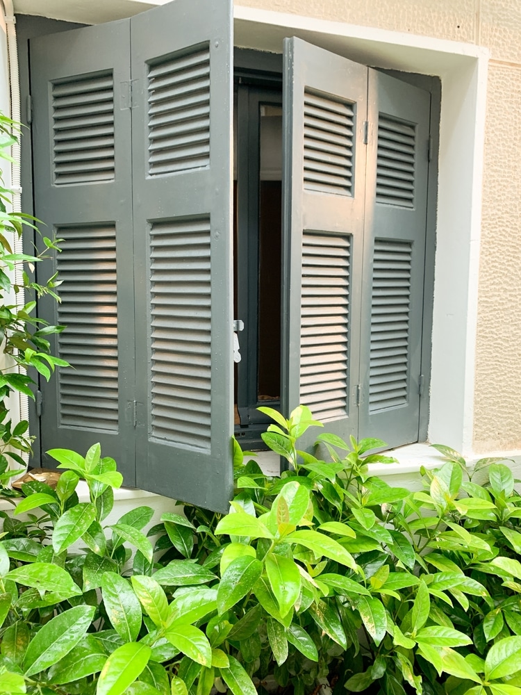 Open,Green,Wooden,Shutter,Window,With,Vibrant,Foliage,In,The